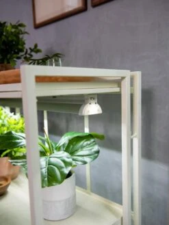 Oslo 2-Tier LED Grow Light Garden, 2 Fixtures -Gardener's Supply Sales 8609221 4101 tif