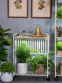 Oslo 2-Tier LED Grow Light Garden, 2 Fixtures -Gardener's Supply Sales 8609221 7236 tif