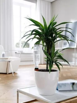 Hydro Wine Container Watering System, Set Of 4 10 Hydro Wine Container Watering System, Set Of 4 -Gardener's Supply Sales 8609224 02V tif