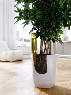 Hydro Wine Container Watering System, Set Of 4 11 Hydro Wine Container Watering System, Set Of 4 -Gardener's Supply Sales 8609224 04V tif