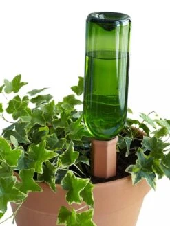 Hydro Wine Container Watering System, Set Of 4 9 Hydro Wine Container Watering System, Set Of 4 -Gardener's Supply Sales 8609224 09V tif
