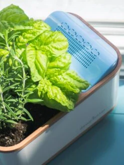 Dewplanter -Gardener's Supply Sales 8609512 04V