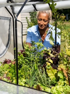 VegTrug®Patio Garden Greenhouse Cover Kit -Gardener's Supply Sales 8610172 1256