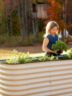Birdies™ Modular Metal Raised Bed, Tall 10 Birdies™ Modular Metal Raised Bed, Tall -Gardener's Supply Sales 8610174 5015 tif