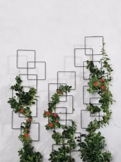 Building Blocks Wall Trellis, 45" -Gardener's Supply Sales 8610183 5811 tif