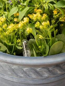 Adjustable Self-Watering Insert For Pots And Planters -Gardener's Supply Sales 8610250 0010 tif