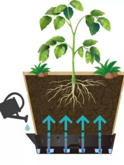 VegTrug® Build-a-Barrel Wooden Planter With Self-Watering Reservoir Tray, 18" 9 VegTrug® Build-a-Barrel Wooden Planter With Self-Watering Reservoir Tray, 18" -Gardener's Supply Sales 8610253 05V tif