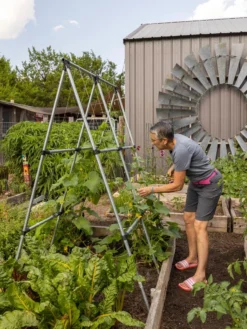 Connector Kit For DIY A Frame Plant Support -Gardener's Supply Sales 8610366 7584 tif