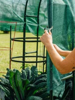 Maxi Garden Hoops With Clips -Gardener's Supply Sales 8610372 368 tif