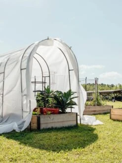 Maxi Garden Quilt 6 Maxi Garden Quilt -Gardener's Supply Sales 8610373 373 tif