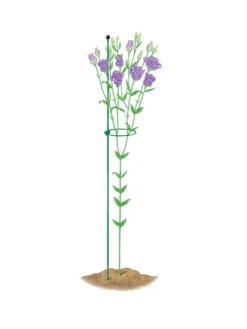 Peacock Mini Plant Support Rings 4", Set Of 2 -Gardener's Supply Sales 8610386 peacock4x36