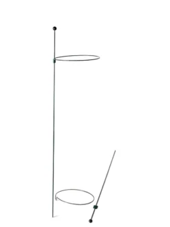 Peacock Mini Plant Support Rings 8", Set Of 2 -Gardener's Supply Sales 8610388 9565 tif