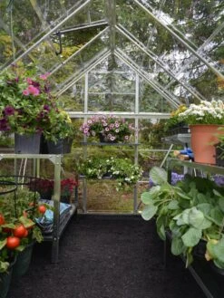 Canopia® By Palram Harmony™ Greenhouse, 6' X 14' -Gardener's Supply Sales 8610563 03V jpg