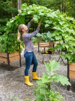 2’ X 8’ Arch Trellis For Planter Boxes -Gardener's Supply Sales 8610798 050 tif