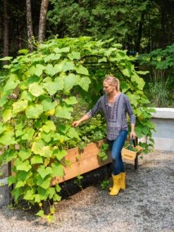 Gardener's Supply Sales -Gardener's Supply Sales 8610798 062 tif