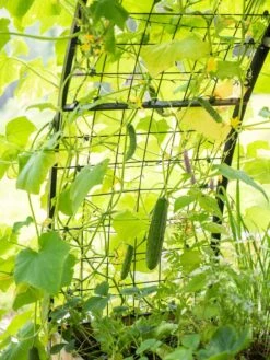 2’ X 8’ Arch Trellis For Planter Boxes -Gardener's Supply Sales 8610798 095 tif