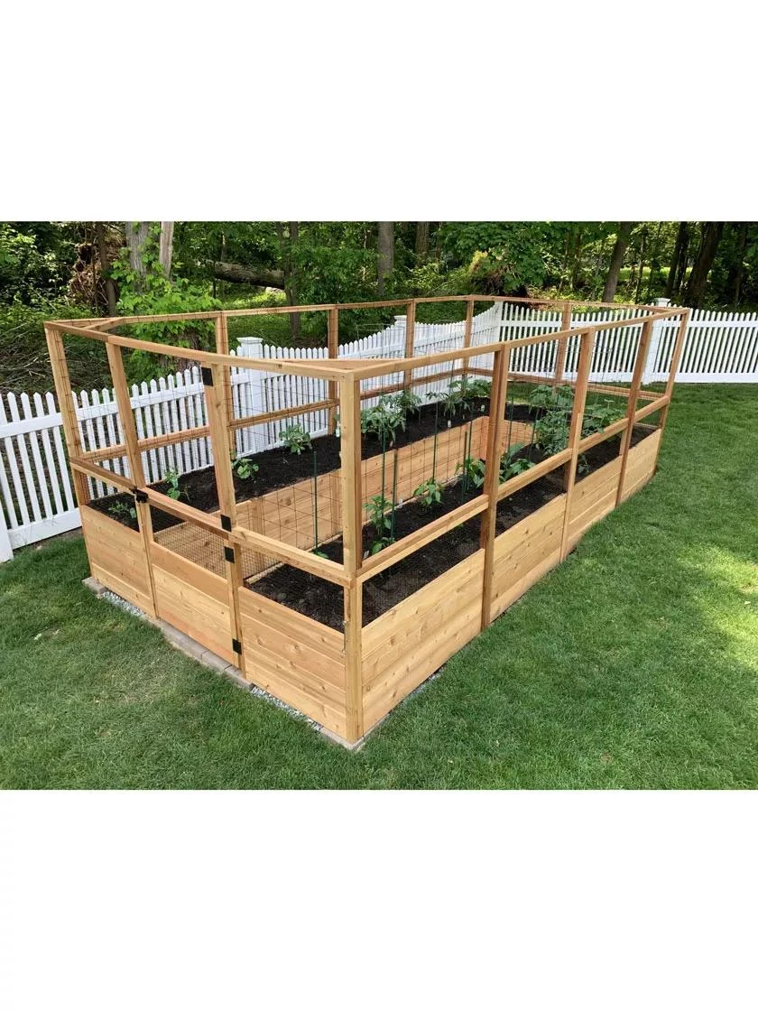 Garden In A Box With Deer Fence, 8' X 16' 1 Garden In A Box With Deer Fence, 8' X 16'