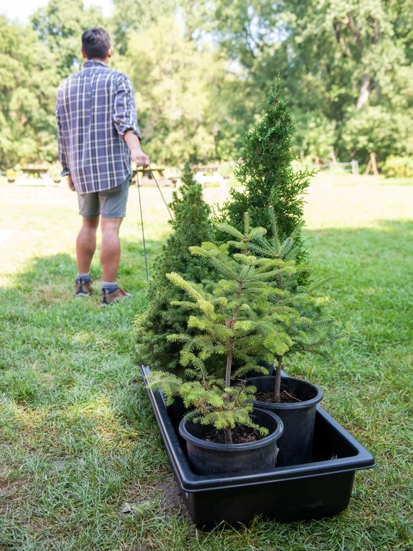 Gardener's Summer Sled And Cover 2 Gardener's Summer Sled And Cover - Image 2