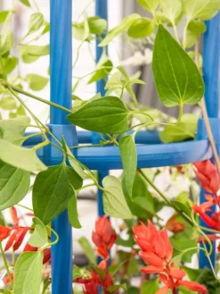 Fleur De Lis Obelisk, 67" 7 Fleur De Lis Obelisk, 67" -Gardener's Supply Sales 8611663 0607 tif