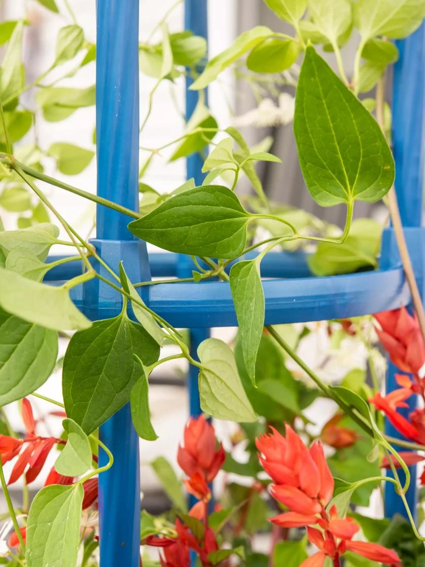 Fleur De Lis Obelisk, 67" 3 Fleur De Lis Obelisk, 67" - Image 3