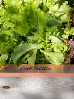 Re-Markable Raised Bed Trim 10 Re-Markable Raised Bed Trim -Gardener's Supply Sales 8611757 326 tif