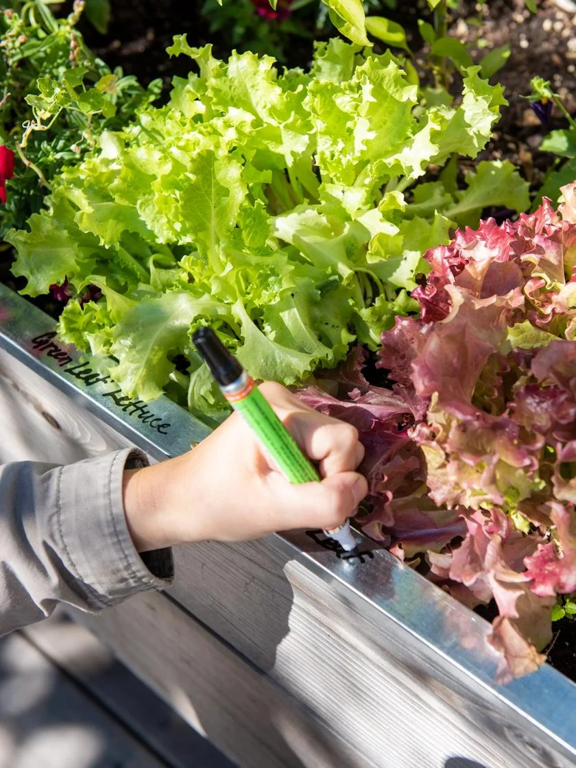 Re-Markable Raised Bed Trim 2 Re-Markable Raised Bed Trim - Image 2