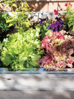 Re-Markable Raised Bed Trim 11 Re-Markable Raised Bed Trim -Gardener's Supply Sales 8611758 306 tif