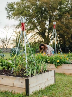DIY Connector For Teepee Trellis -Gardener's Supply Sales 8611896 38 tif