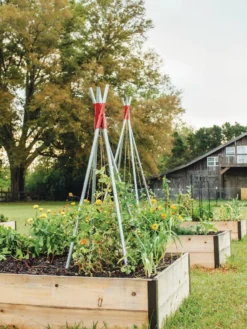 DIY Connector For Teepee Trellis -Gardener's Supply Sales 8611896 71 tif