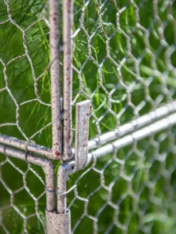 Chicken Wire Crop Coop Extension 10 Chicken Wire Crop Coop Extension -Gardener's Supply Sales 8611940 232 tif