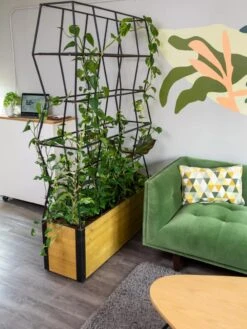 Self-Watering Partition Planter 8 Self-Watering Partition Planter -Gardener's Supply Sales 8611952 001 tif