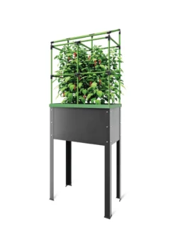 City Jungle® Heidelberg Tomato Trellis