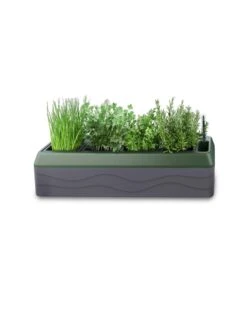 Provence Self-Watering Herb Planter 11 Provence Self-Watering Herb Planter -Gardener's Supply Sales 8611965 03V tif