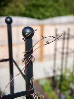 Essex Square Obelisk -Gardener's Supply Sales 8611984 278 tif