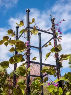 Essex Square Obelisk -Gardener's Supply Sales 8611984 354 tif