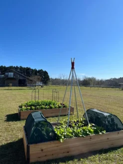 Insect And Pest Net Row Protector 9 Insect And Pest Net Row Protector -Gardener's Supply Sales 8611985 04 tif