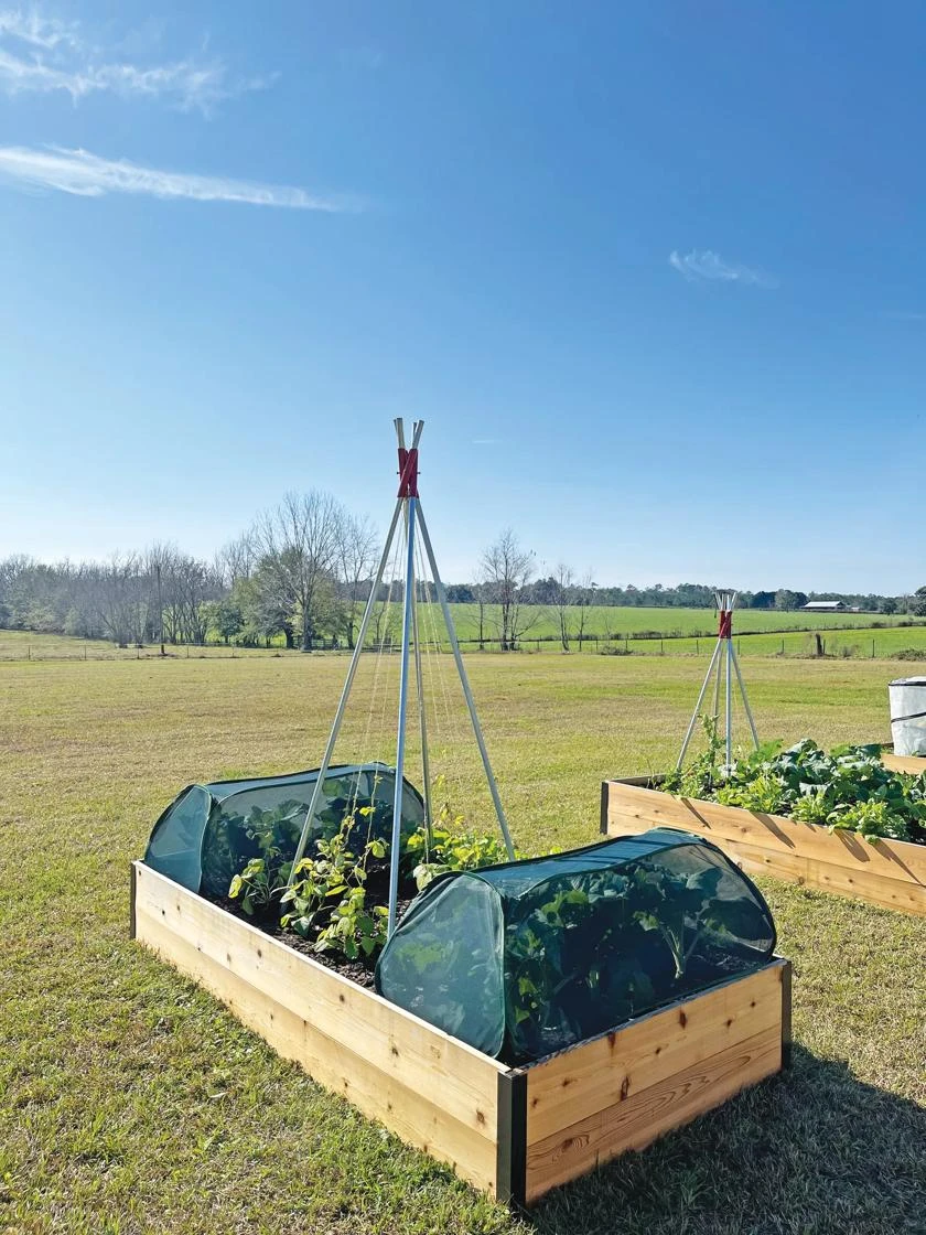 Insect And Pest Net Row Protector 2 Insect And Pest Net Row Protector - Image 2