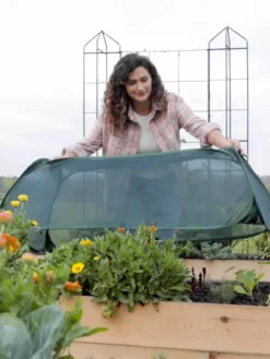 Insect And Pest Net Row Protector 11 Insect And Pest Net Row Protector -Gardener's Supply Sales 8611985 8390 tif