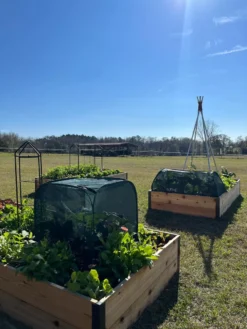 Pest Control Pop-Ups -Gardener's Supply Sales 8611989 05 tif