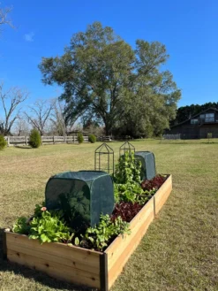 Pest Control Pop-Ups -Gardener's Supply Sales 8611989 08 tif