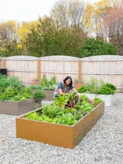 Somerset Metal Raised Beds, As Is 18 Somerset Metal Raised Beds, As Is -Gardener's Supply Sales 8612020 0014 tif