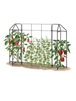Zenith Trellis -Gardener's Supply Sales 8612035 art tif