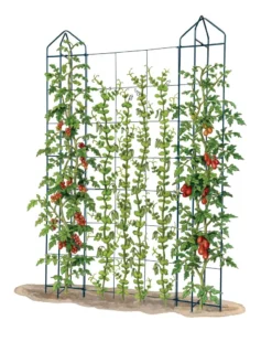 Zenith Trellis -Gardener's Supply Sales 8612036 art tif