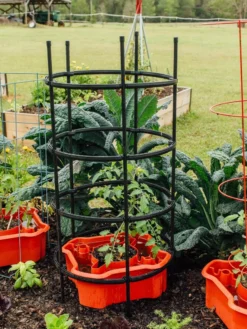 Deluxe Tomato Halos, Set Of 2 -Gardener's Supply Sales 8612045 228 tif