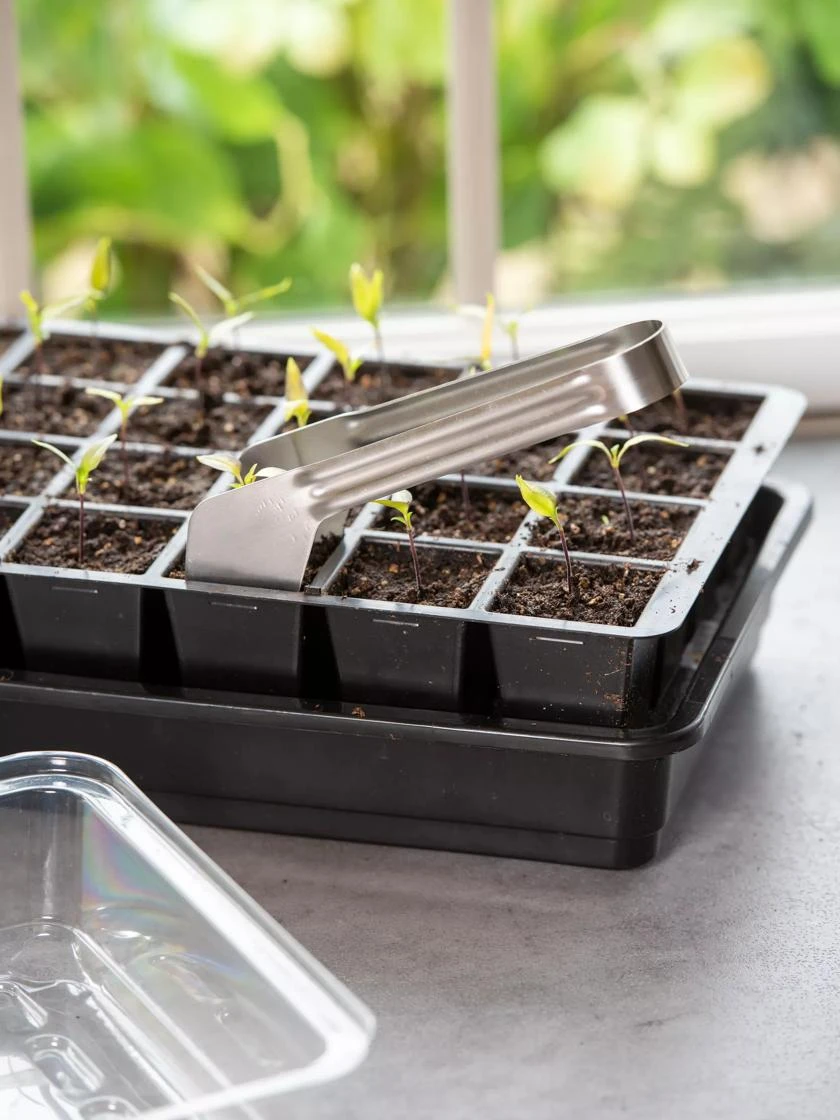 Seedling Transplant Tongs 2 Seedling Transplant Tongs - Image 2