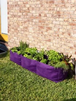 Smart PotĀ® Raised Bed Planter, Purple