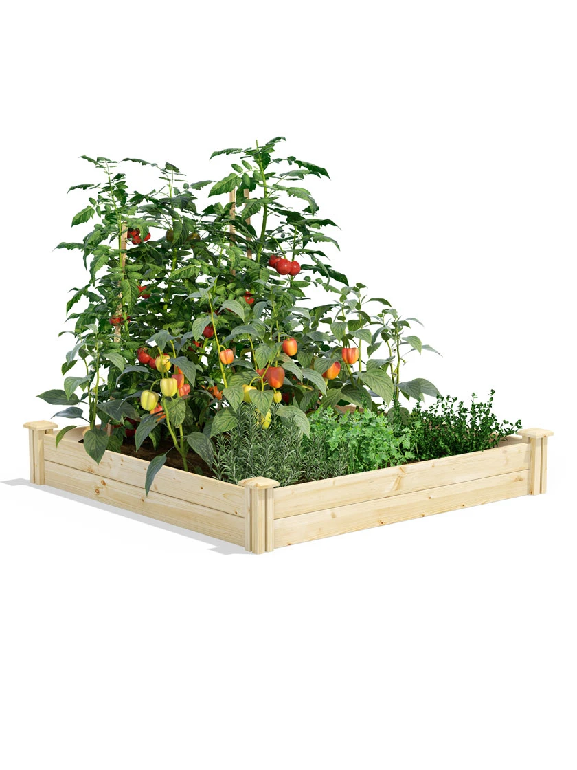 Pine Raised Garden Beds, 4'x4' 1 Pine Raised Garden Beds, 4'x4'