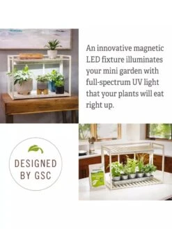 Tabletop Grow Kit 11 Tabletop Grow Kit -Gardener's Supply Sales 8612507 4