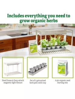 Tabletop Grow Kit 13 Tabletop Grow Kit -Gardener's Supply Sales 8612507 6