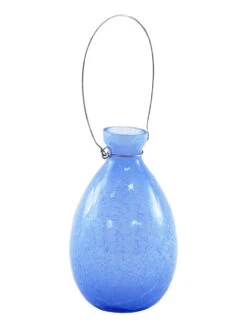 Achla Designs Teardrop Rooting Vase -Gardener's Supply Sales 8612530bll 03v